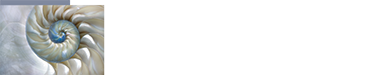 The Cricket Contrast Logo
